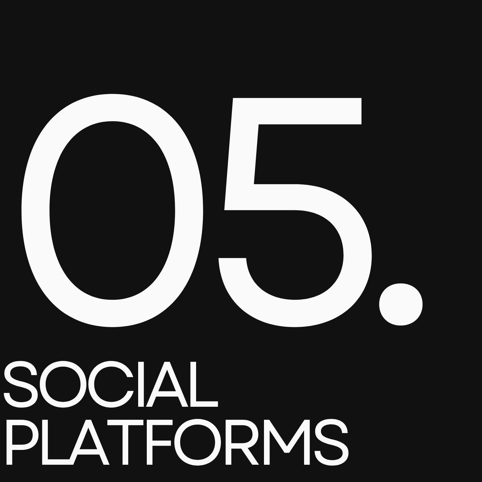 05. Social Direction